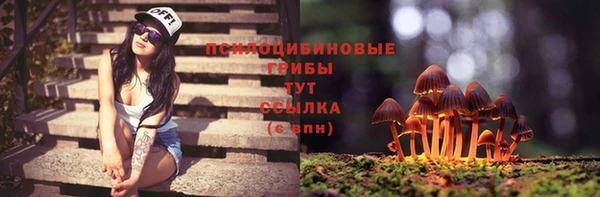 спайс Беломорск