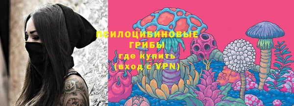 спайс Беломорск