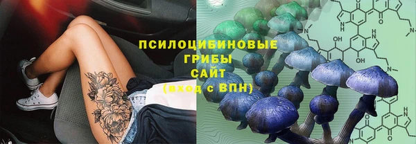 спайс Беломорск